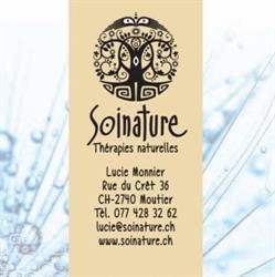 Soinature