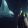 Diving Shop Immersion SA - Confignon - Plonger de nuit