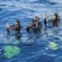 Diving Shop Immersion SA - Confignon - Divermaster