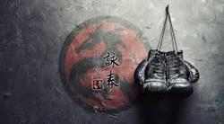 VING TSUN KUNG FU