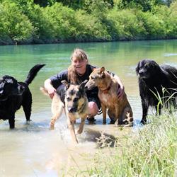 Nimalik Hundeschule & Hundepension