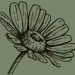 Restaurant die Blume