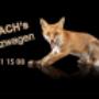 Dubach GarageThun GmbH