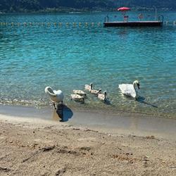 Lido di Caslano