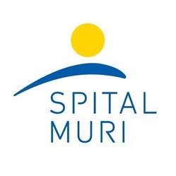 Spital Muri