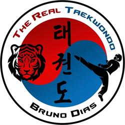 The Real Taekwondo