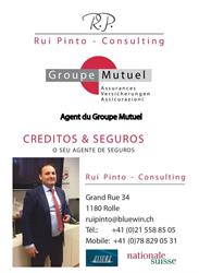 Rui Pinto - Consulting