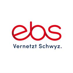ebs Energie AG