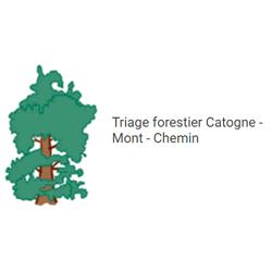 Triage forestier Catogne - Mont - Chemin