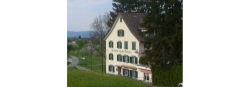 Restaurant z. Alten Hirschen