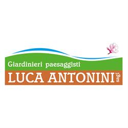 Antonini Luca