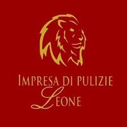 Impresa di pulizie Leone