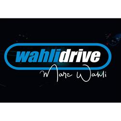 fahrschule wahlidrive