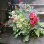 Herbststrauss mit vorwitzigen Hagebutten.
