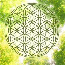 HarmonyLife