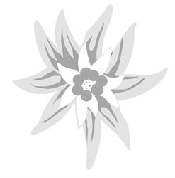 Edelweiss institut de beauté