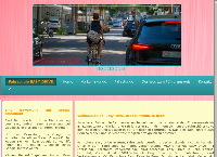 EasyDrive Bern