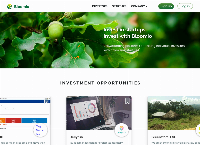 Website von Bloomio AG