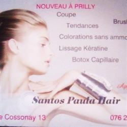 Santos Paula Hair