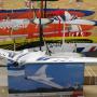 Modellmarkt24, E-Flite Opterra Segelflieger