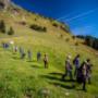 Sortie d'entreprise / Team building d'un secteur de la Loterie Romande aux Diablerets avec plus de 50 participants