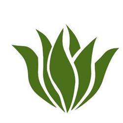 AC Oliveira GmbH