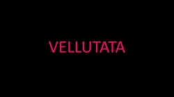 Vellutata