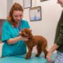 # 32