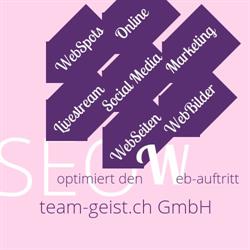 team-geist.ch