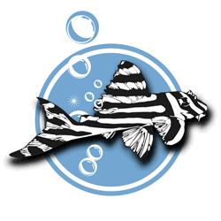 Aqua Designs GmbH