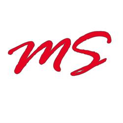 Gruppo MS Sagl