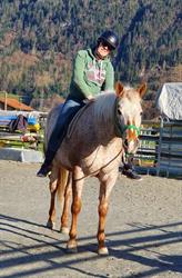 Horse Food Care - Reitsportgeschäft