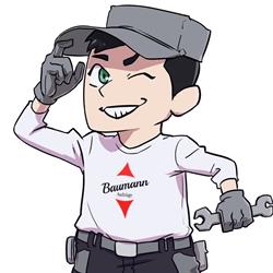 Baumann Aufzüge