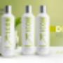 I.C.O.N
ICON
Detox Regimedy