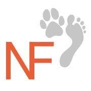 NF footstep - Happy Dogs and People