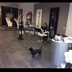 Hair & Beauty