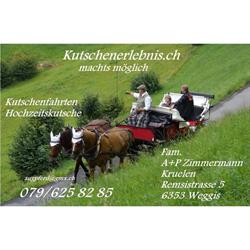 Kutschenerlebnis.ch