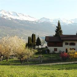 Domaine Bellevie
