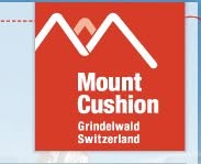 Mount Cushion