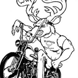 Rotwild Motorcycles Peter Genkinger