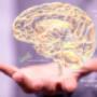 Coaching Vibrazionale Evolutivo