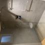 Die Glaswand-Dusche ist pflegeleicht, individuell anpassbar und lichtdurchflutet.