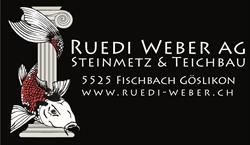 Ruedi Weber AG Steinmetz & Teichbau