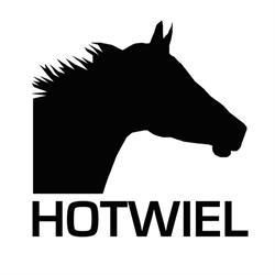 Hotwiel GmbH