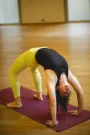 Yoga Classes