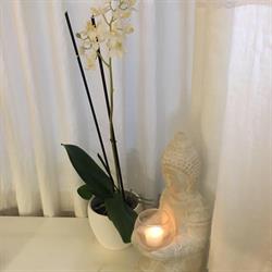 Nagelstudio Astrid Theile
