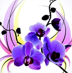 Nagellounge