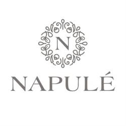 NAPULÉ PIZZERIA MEILEN