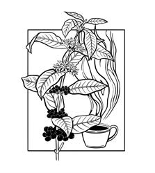 Café & Rösterei Heer (speciality coffee)