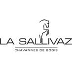 Manège de la Sallivaz & Poney club